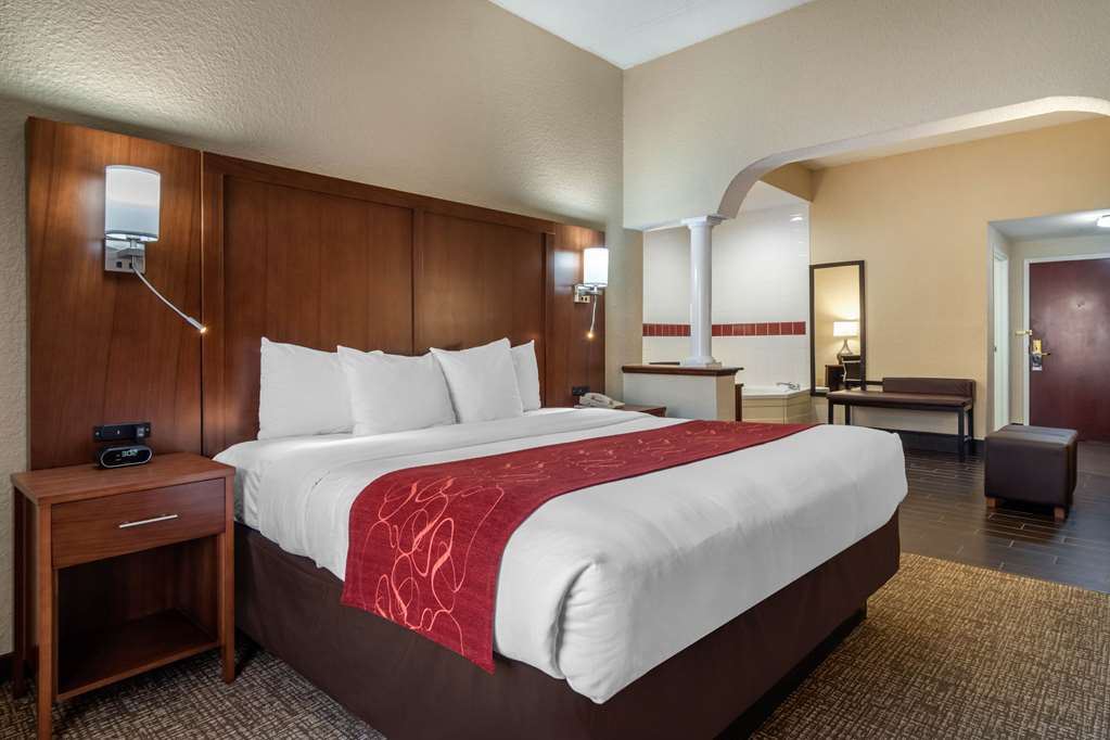 Comfort Suites Woodstock Atlanta North - photo 19