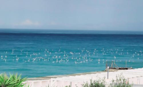 Kalè — 4-Star Luxury Hotel in Giovinazzo, Italy