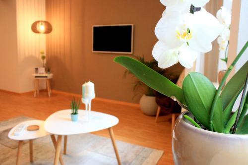 D & S Hotel & Ferienwohnungen — Besigheim — photo 5