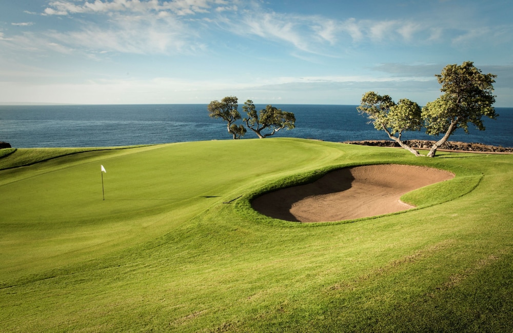 Four Seasons Resort Lanai - photo 94