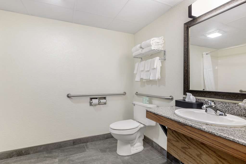 Comfort Inn & Suites Mt. Rushmore - photo 14