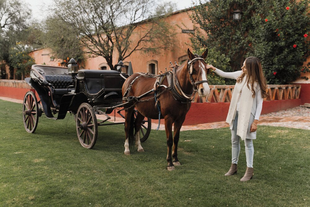 Horseback riding