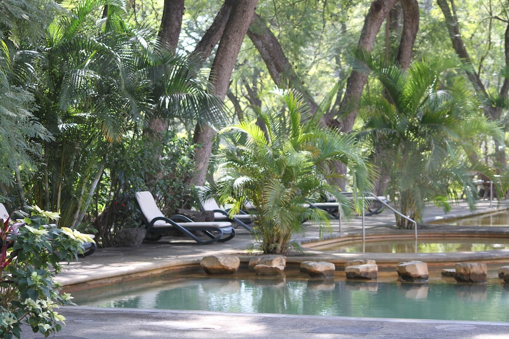 Natural pool