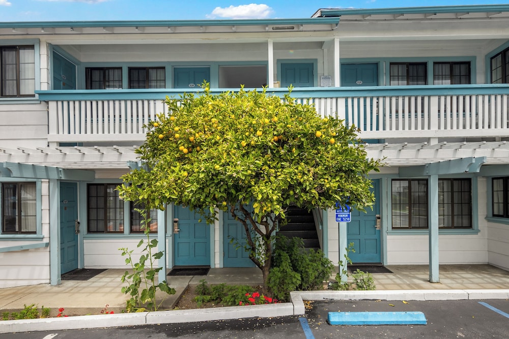 Arbor Inn Monterey - photo 38