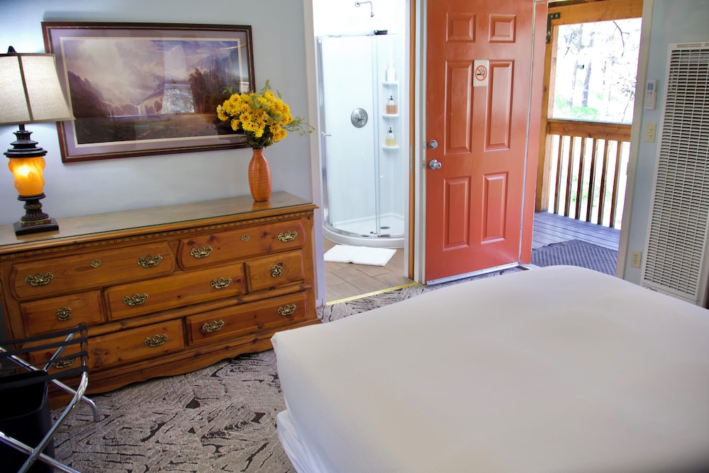 Yosemite Bug Rustic Mountain Resort - photo 28