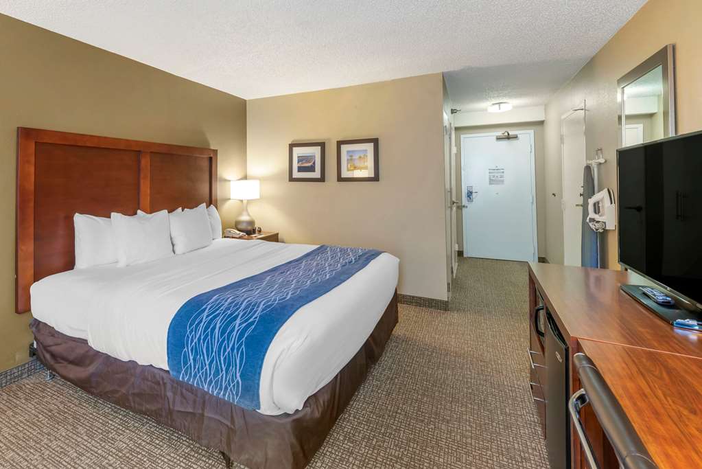 Comfort Inn Elizabeth City near University - photo 8