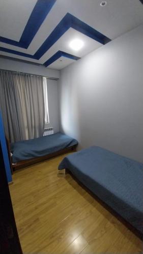 Apartment on Rustaveli