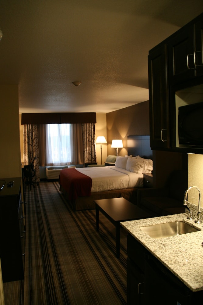 Holiday Inn Express & Suites Nevada by IHG - photo 12