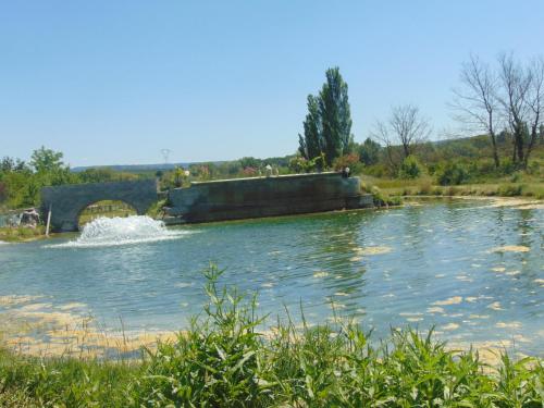 Les 40 Chevaux pet-friendly hotel Chateauneuf-Du-Rhone