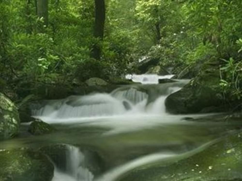 Lake Rabun Hotel & Restaurant - photo 60