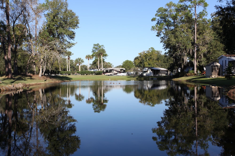 Sherwood Forest RV Resort - photo 7