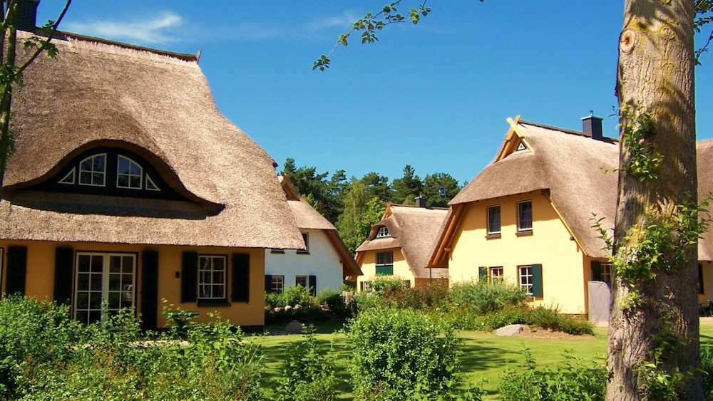 Kustenwaldvilla in Dierhagen in Ostseebad Dierhagen, Germany