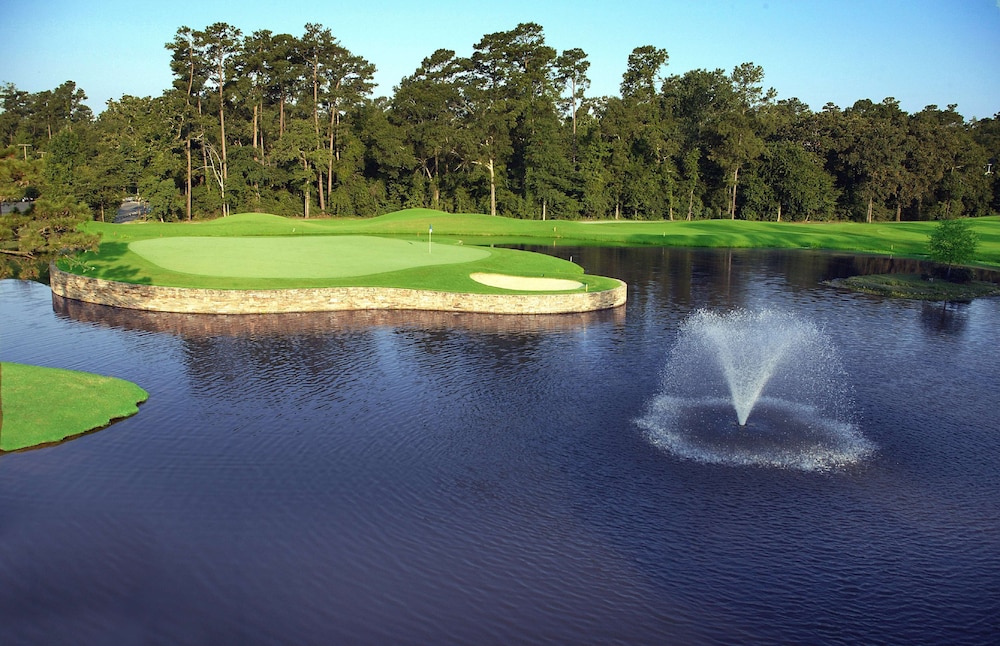 The Woodlands Resort Curio Collection by Hilton - photo 71