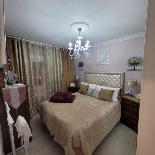 Shared Accommodation A Room With A View Of The Garden — Sevilla
