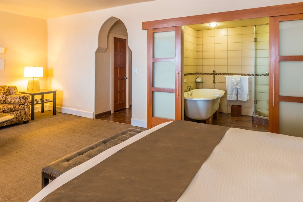 Hotel Andaluz Albuquerque Curio Collection by Hilton - photo 46