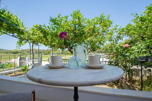 Ari's Apartment — 4-Star Luxury Hotel in Vonitsa, Greece