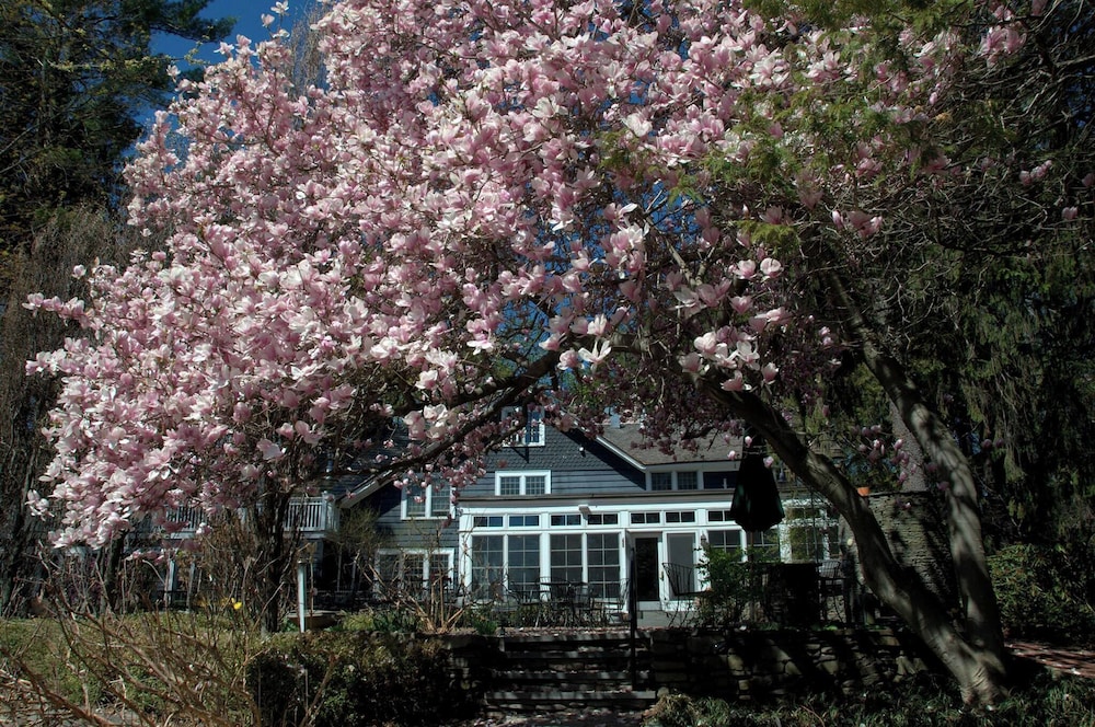 Buttermilk Falls Inn - photo 55