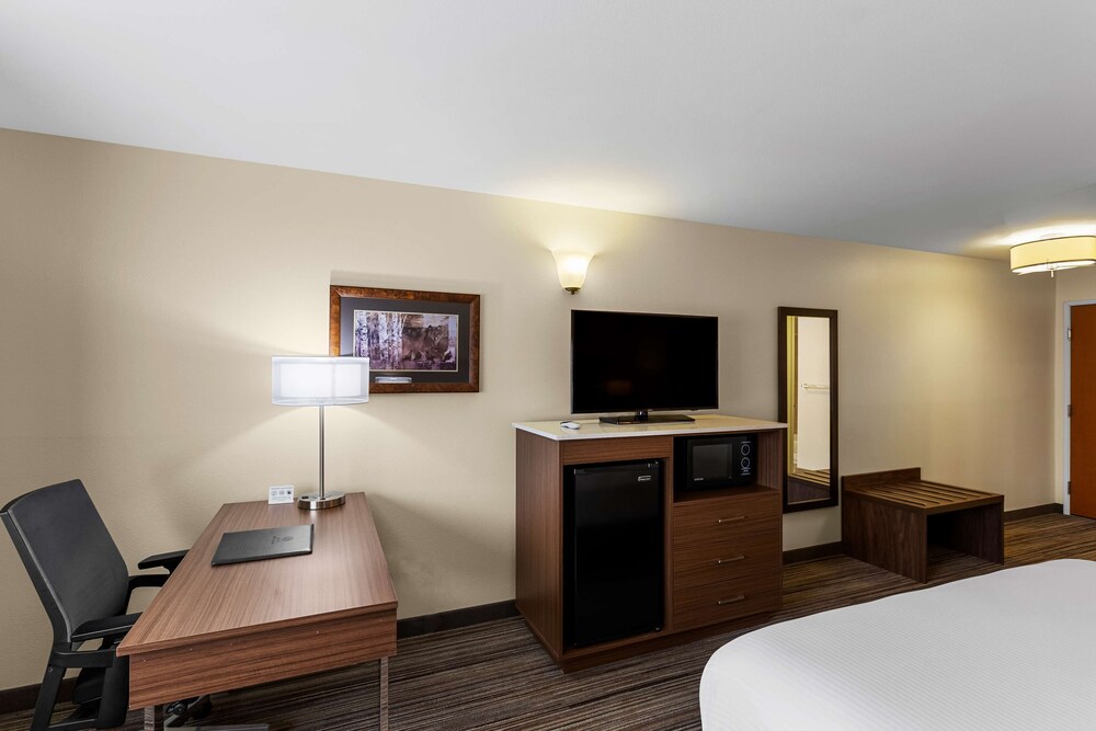 Best Western Rose Quartz Inn - photo 7