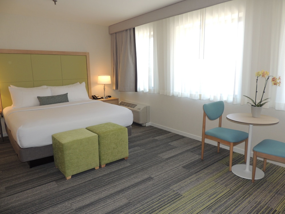 The Inn at Longwood Medical - photo 6