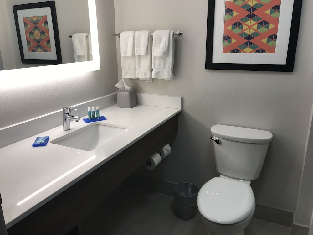 Holiday Inn Express Naples South I 75 by IHG - photo 21