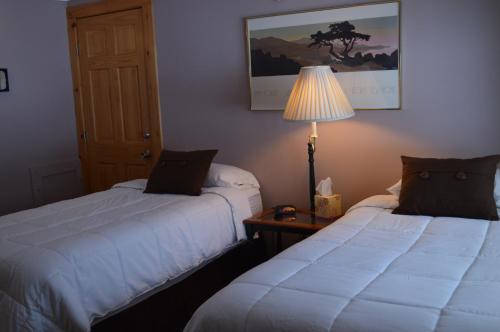 Wiley Inn - photo 21