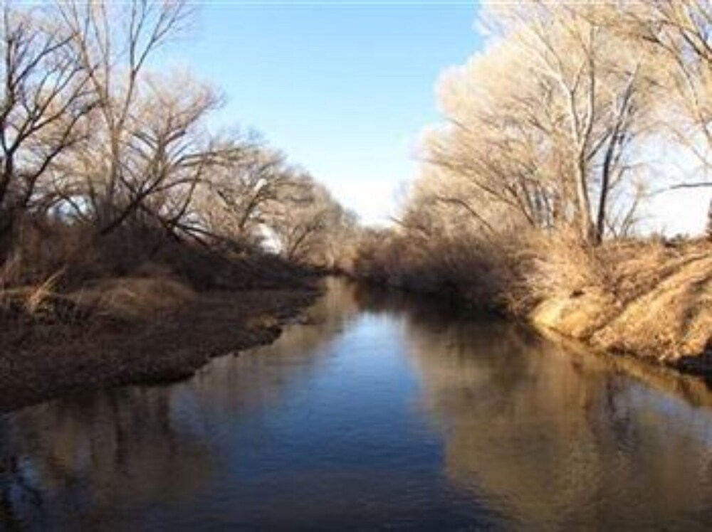 Lazy Dog Ranch - photo 37