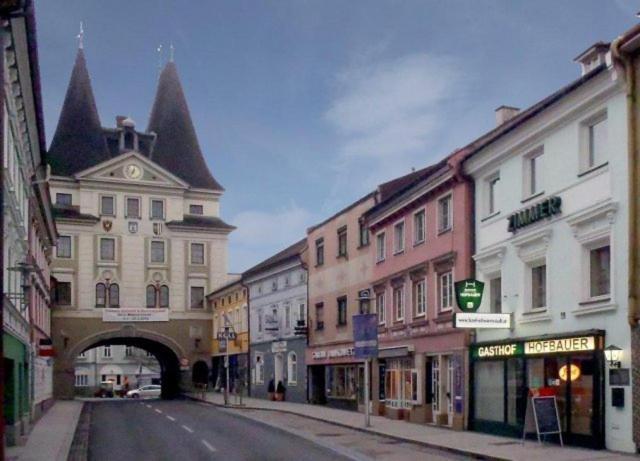 Gasthof Hofbauer pet-friendly hotel Schwanenstadt