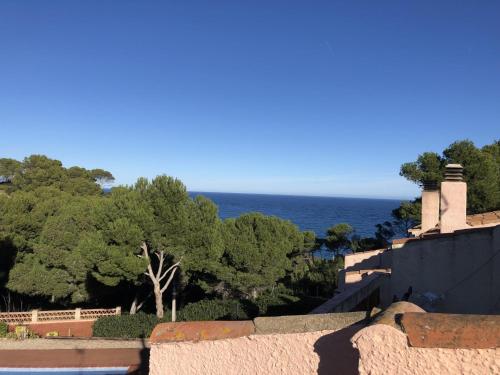 Pollo in Begur, Spain