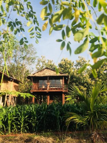 Chena Huts Eco Resort in Sigiriya, Sri Lanka