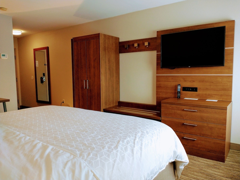 Holiday Inn Express Hotel & Suites Madison by IHG - photo 6