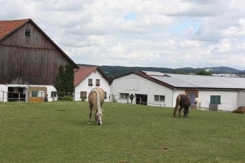 Bauernhof Nil — Neunburg Vorm Wald