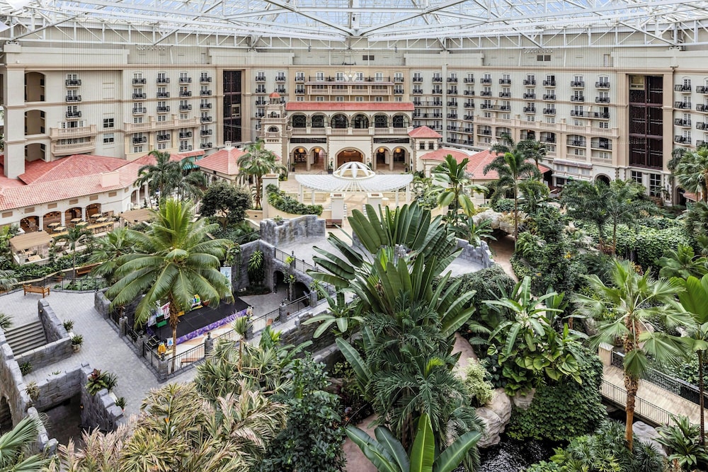 Gaylord Palms Resort & Convention Center - photo 103
