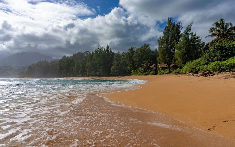 Hanalei Colony Resort E3 1 Br Condo - photo 25