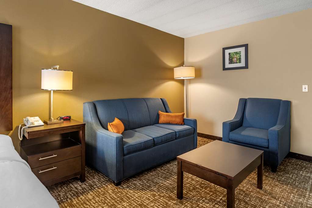 Comfort Inn Paducah I 24 - photo 11