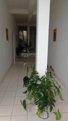 Le Village Diego 4nnexe — Antsiranana — photo 3
