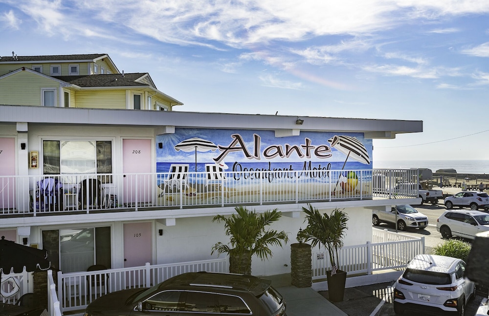 Alante Oceanfront Motel - photo 28