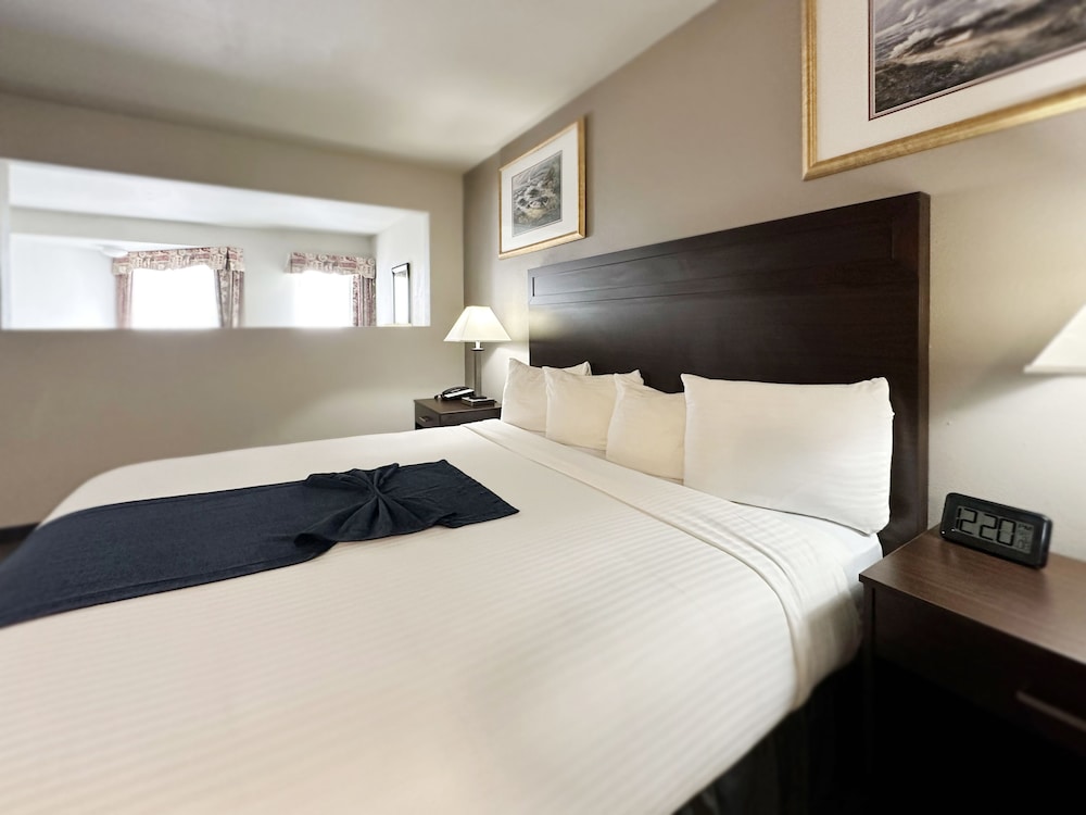 BayVue Hotel Resort and Suites - photo 3