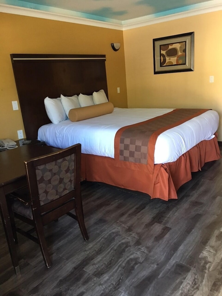 Hollywood Palms Inn and Suites - photo 41