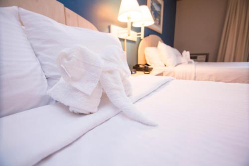 Hotel Dewey - photo 16
