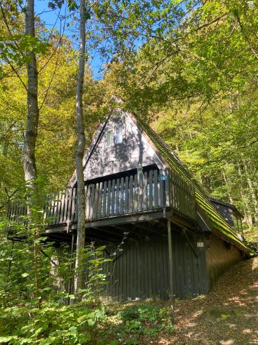 Boszicht Durbuy in Durbuy, Belgium