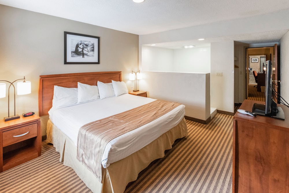 Eleven Boutique Hotel - photo 7