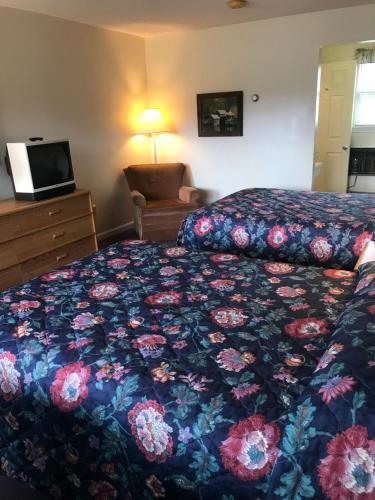 Four Seasons Motor Inn - photo 22