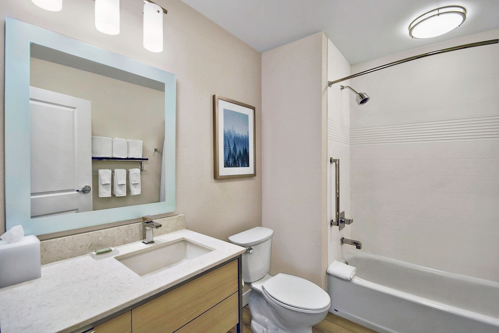 TownePlace Suites by Marriott Asheville West - photo 17