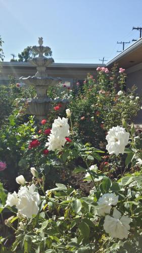 Kearney Motel - photo 2