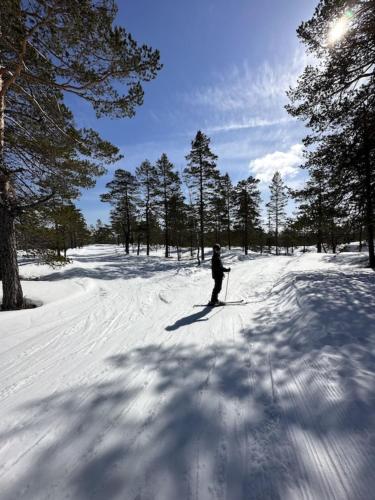 Fjellspurven — Unknown City — photo 5