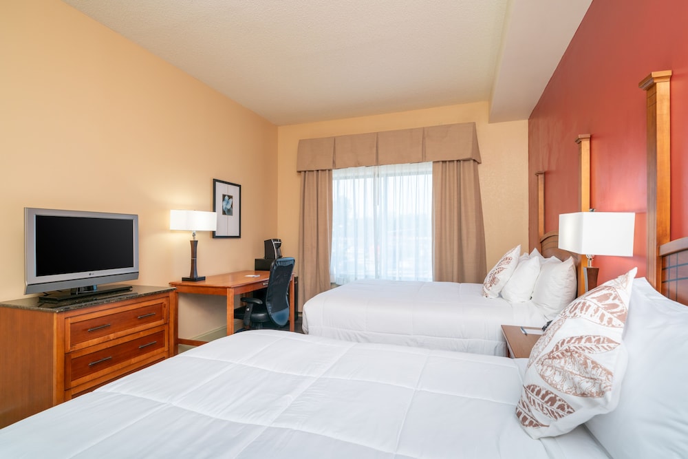 City Express by Marriott Washington DC Northeast - photo 9