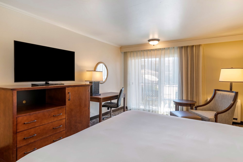 Best Western Plus Royal Oak Hotel - photo 8