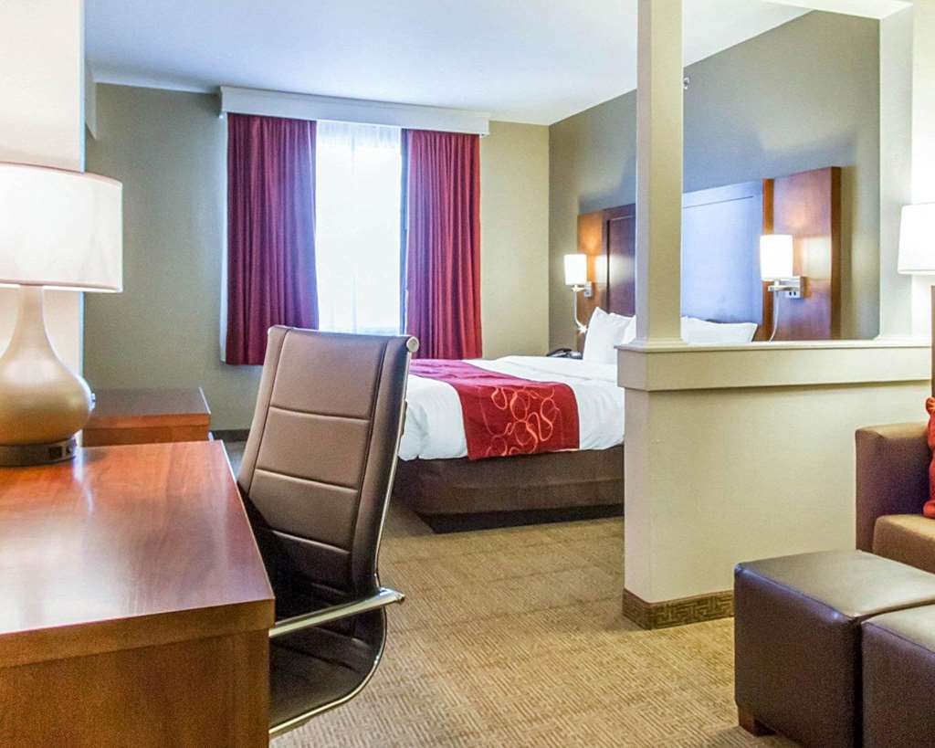 Comfort Suites Abilene Central - photo 14