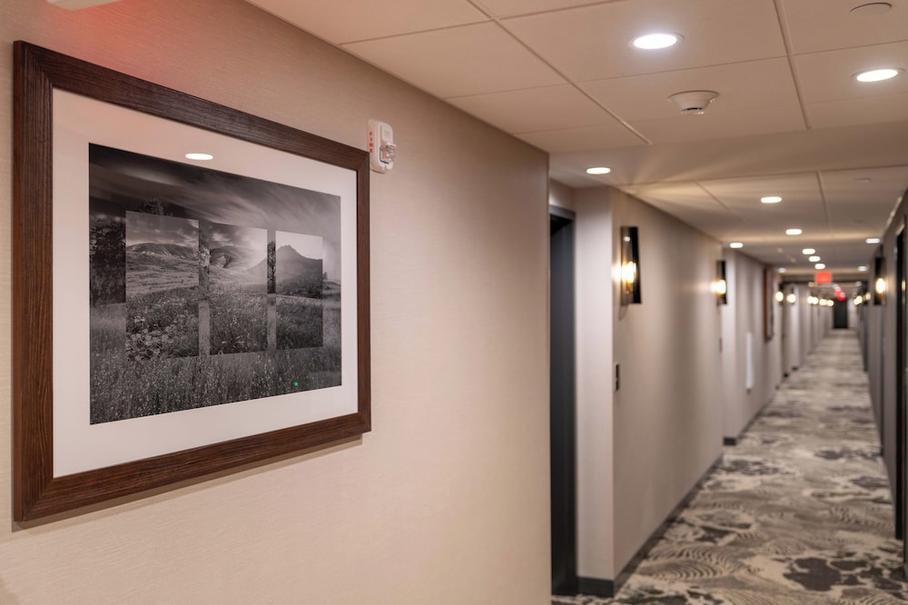 SpringHill Suites by Marriott San Luis Obispo - photo 51