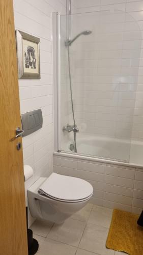 K30 5 6 pers apartment near University